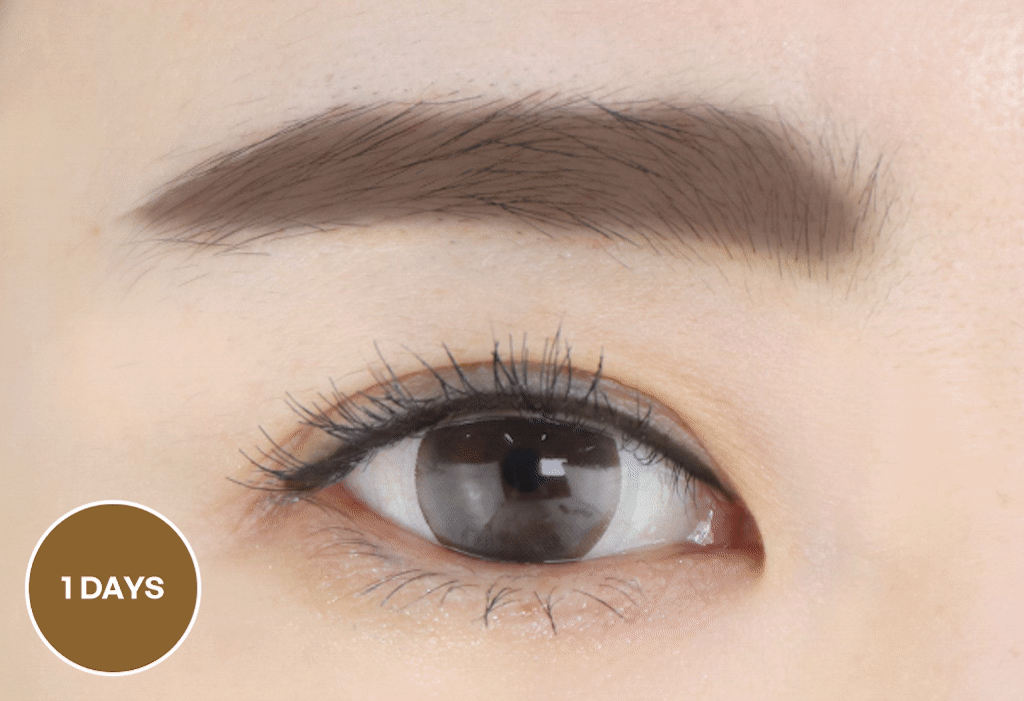 BERRISOM Oops My Brow Tattoo Pack_03 Americano